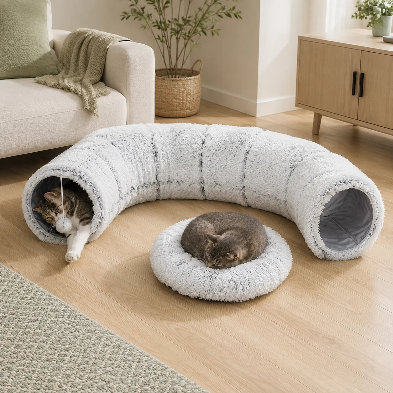 One cat playing inside the tunnel while another rests on the cushion